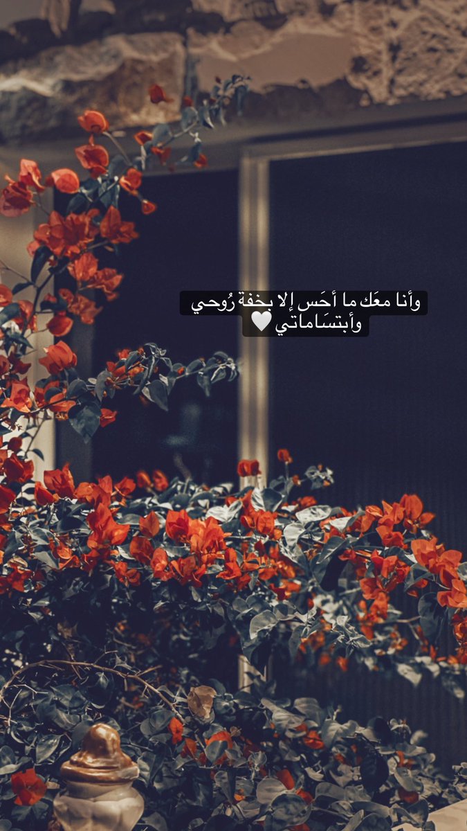 novaae90 tweet picture