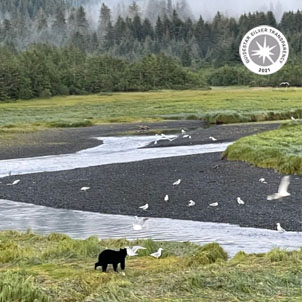 #NativeConservancy recently received the Silver Seal of Transparency from Guidestar, the most widely adopted symbol of transparency in the U.S. social sector. This is quite an honor for our tireless work.
 
Find out more about our conservation efforts: nativeconservancy.org/ways-to-give.h…