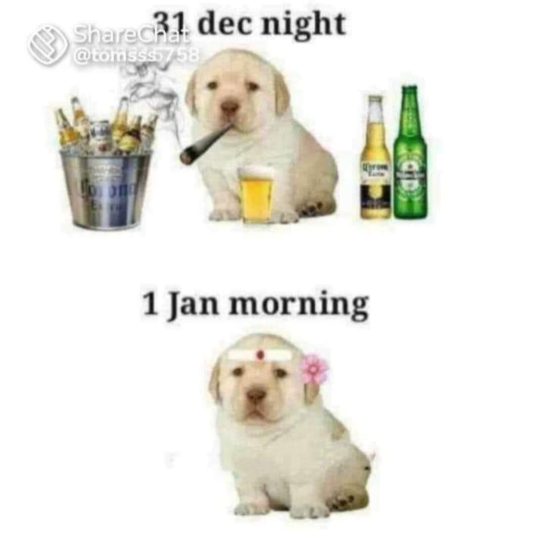 ncbncu's tweet image. Tonight n tomorrow #nibbas be like 👇👇👇