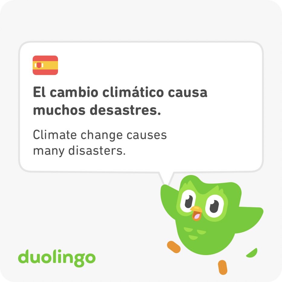 SueAnneBrenner's tweet photo. Duo the owl knows… https://t.co/6PlVMLozzN