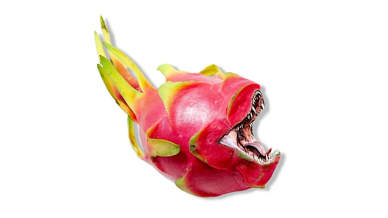NfFrodo's tweet photo. @by_lakeside Some think our Fruit has a bit of a bite... But that's just Wild speculation.
🐗🥑🥥🦁🥭🍊🐯🍋🐊🍒🍑
https://t.co/Aj6YZ6OglH
#NFTdrop #nftcollectors #nftart #NFTcollections #nftcollector #NFT #NFTs https://t.co/RwcWZwRzop