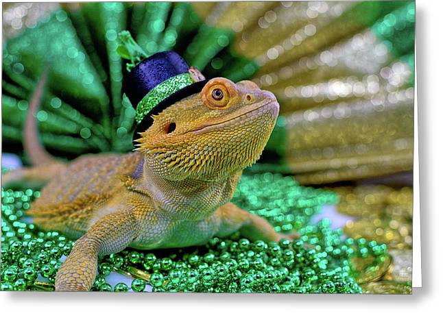 Reptilian Secret Society tweet media