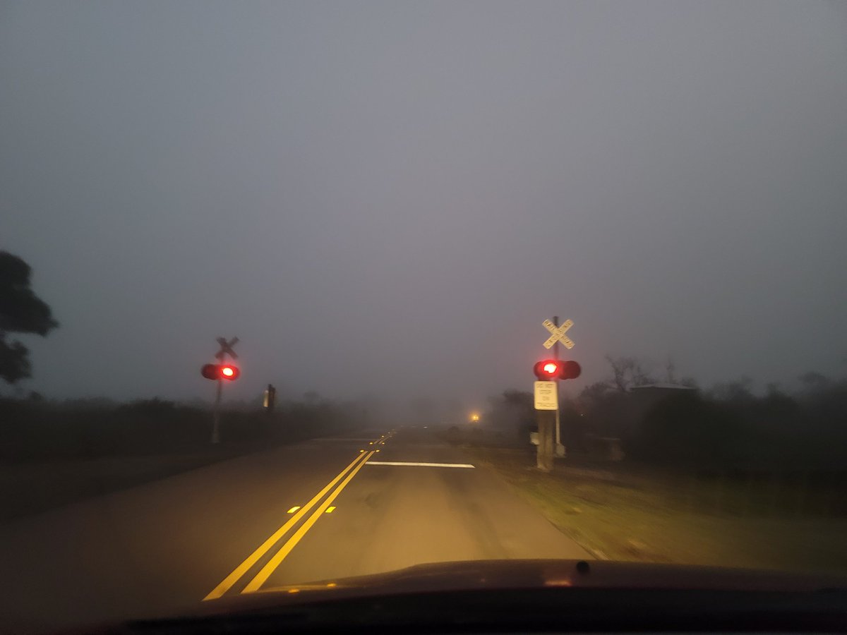 SpaceCoastSkies's tweet photo. Be careful out there this morning, it's foggy! #flwx #SpaceCoastSkies #MINWR #CNS @USFWSRefuges https://t.co/dG7VU0Cqh5