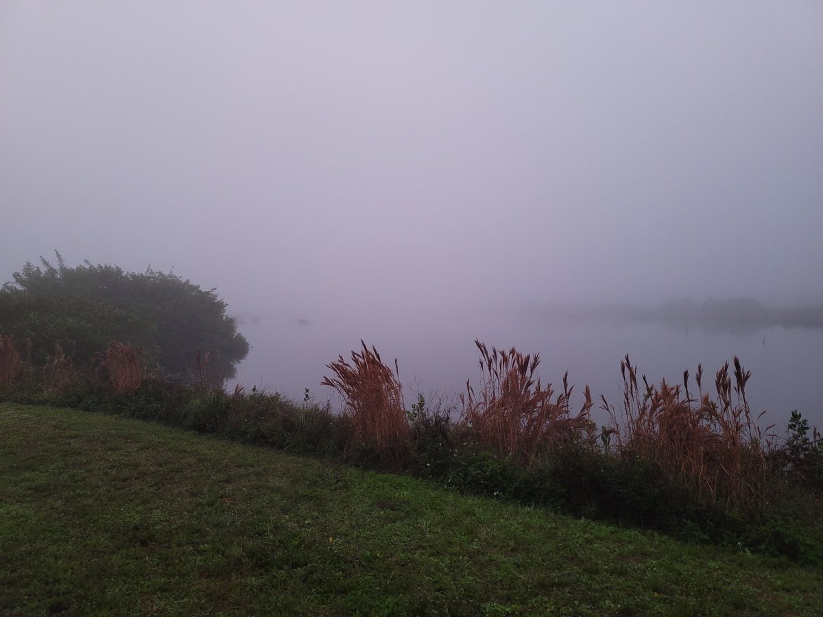 SpaceCoastSkies's tweet photo. Be careful out there this morning, it's foggy! #flwx #SpaceCoastSkies #MINWR #CNS @USFWSRefuges https://t.co/dG7VU0Cqh5