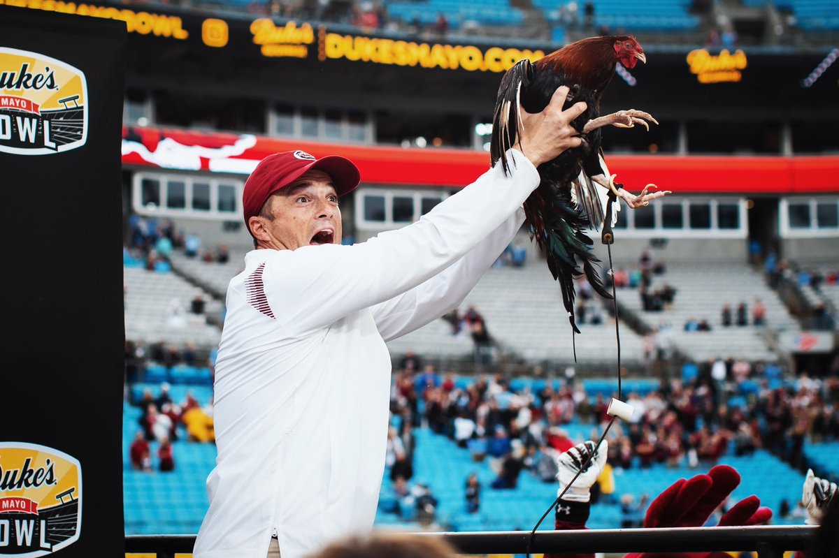 GamecockFB's tweet photo. Mood (still) https://t.co/cD6TtHbBRI