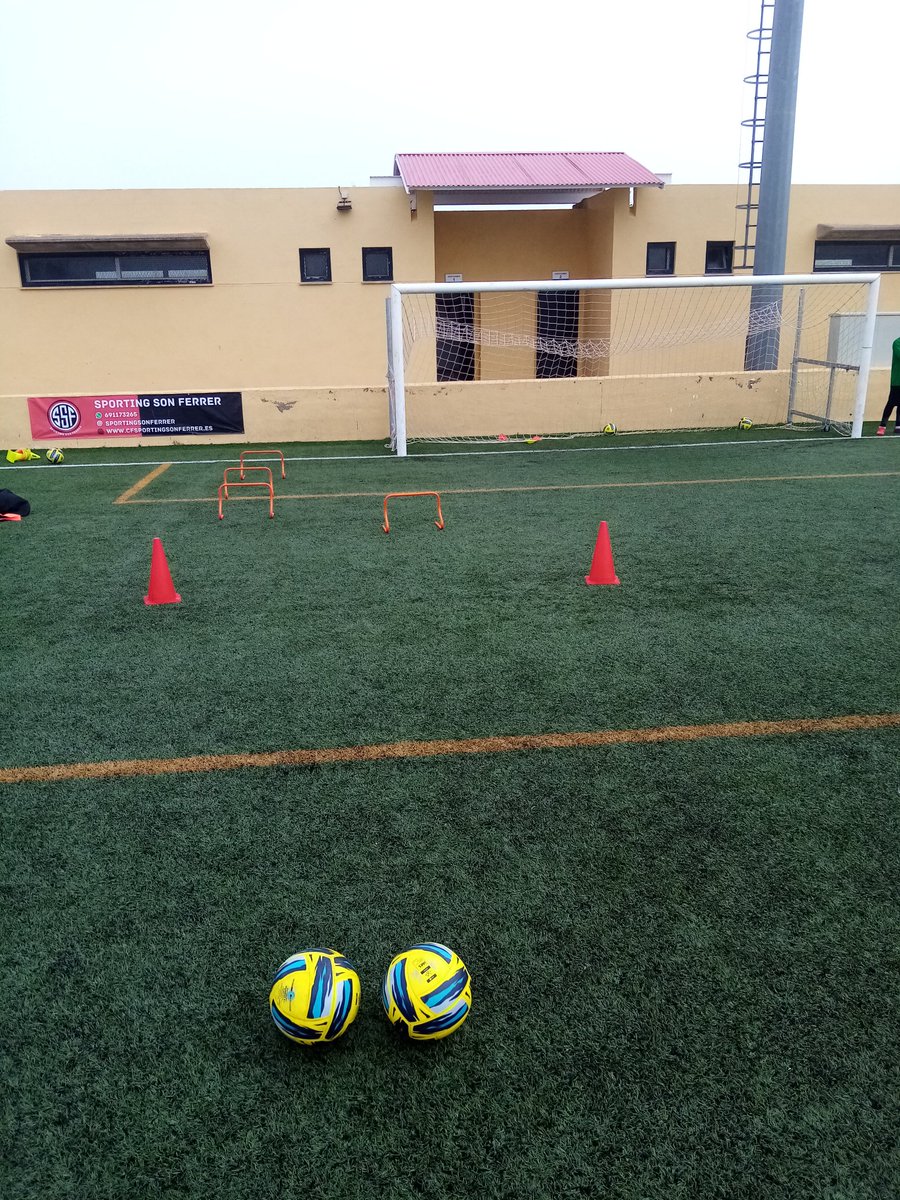 Good session to the end the year with the young keepers. Foggy and cloudy one today