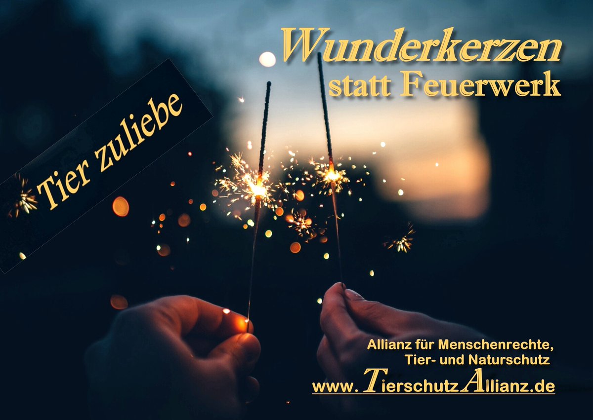Unsere jährliche Aktion "#Wunderkerzen statt Feuerwerk" gibt´s natürlich auch 2021/22. Und wer im nächsten Jahr dafür werben möchte, kann sich unsere Postkarten dazu am nächsten Infostand der TA abholen. Gratis. 

#wunderkerzenstattfeuerwerk
#gutenrutsch
#tierschutzallianz