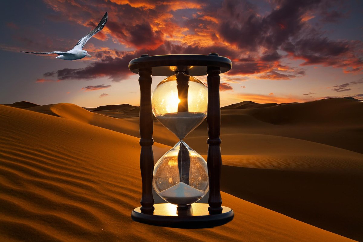 GalacticAlbatrX's tweet photo. When the #Sands of #Time erode away, all living memory of today, what will endure? #Sunsets will inspire nobody. #Stars will no longer beckon, and the cold, indifferent #Universe will quickly forget that #Humans ever existed.
An #Epitaph for #Mankind asks the #WanderingAlbatross? https://t.co/GrHK9FUVLi
