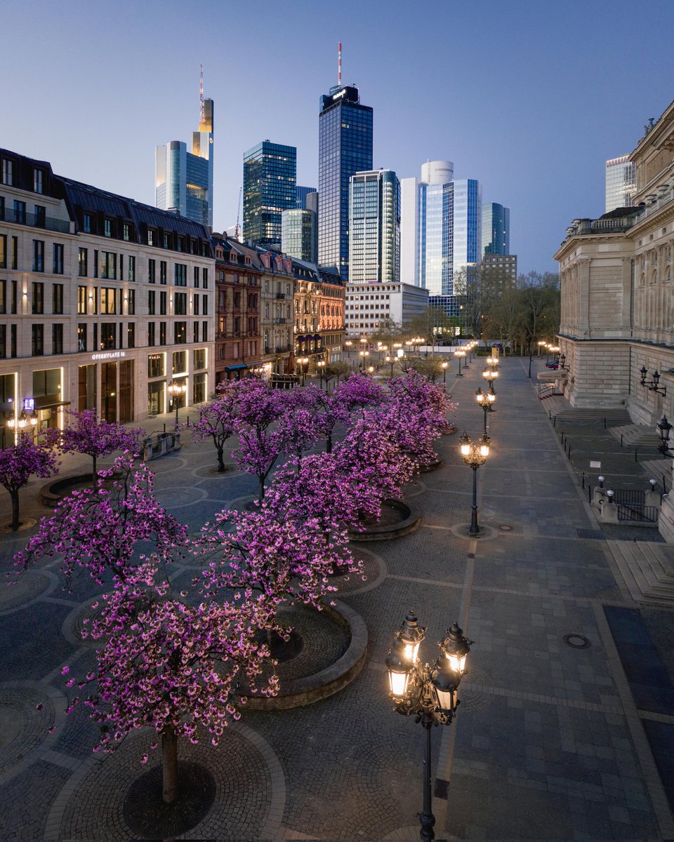 Stadt_FFM's tweet photo. Passt auf euch auf, bleibt gesund und startet gut ins neue Jahr! 😌 🍀

🌸 Die Kirschblüte vor der Alten Oper war euer Lieblingsbild auf unserem Instagram-Kanal (https://t.co/LwL481mQYl) im Jahr 2021. Danke an mattslk für diese wunderbare Aufnahme und die Frühlingsgefühle! https://t.co/dWWG3pjJ3X