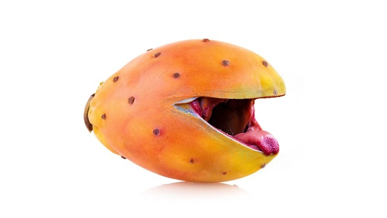 NfFrodo's tweet photo. @KenjoriNft Fruit gone Wild!
🍓🍊🌵🐯🐗🐊🦈🍏🥥🍐🍍
https://t.co/iraH9O7Kde
@opensea #NFTdrop #NFTs #NFTcollections #nftcollectors #OpenSeaNFT #NFT https://t.co/C5KgaPIxih