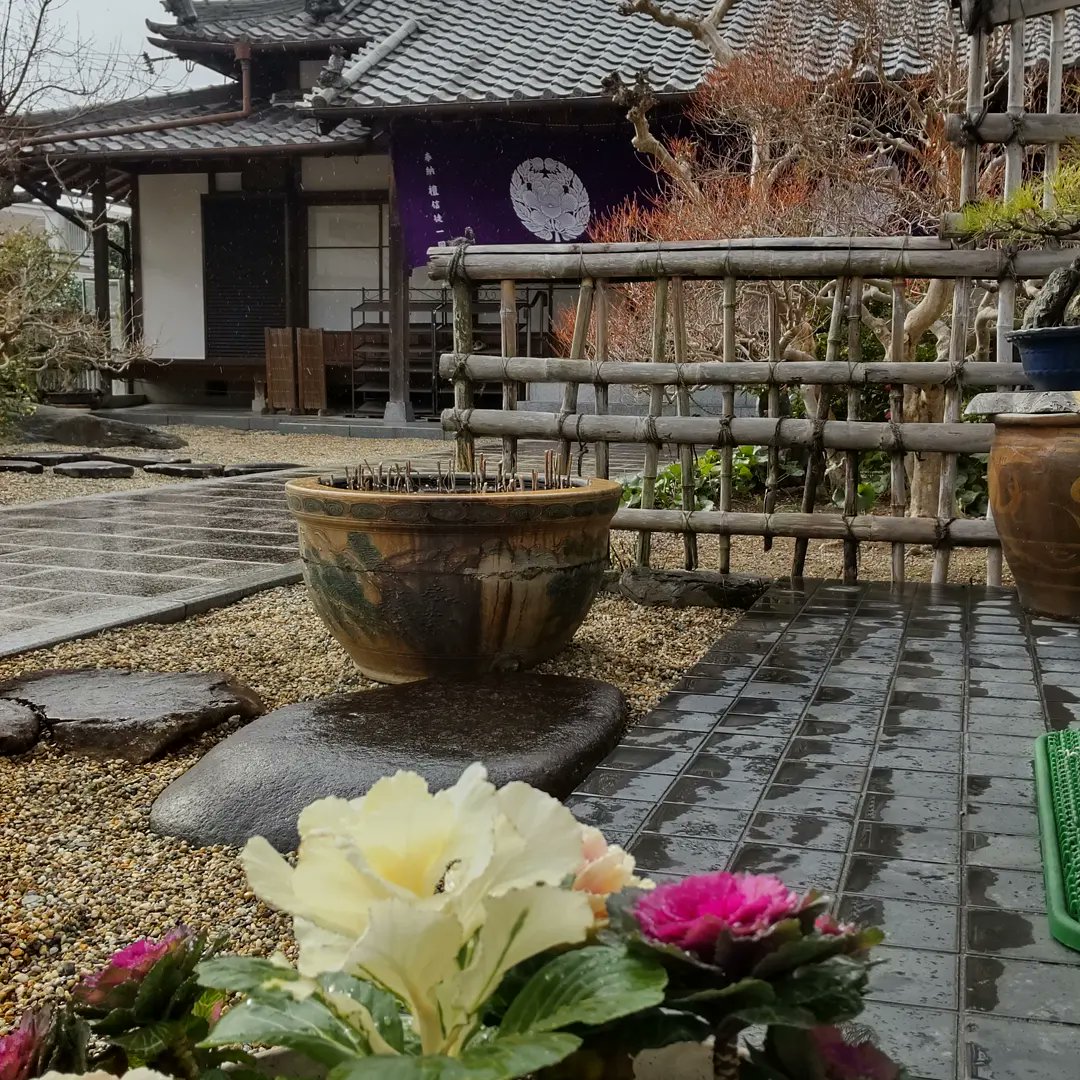 bodairushi's tweet photo. 今年もあとわずか、来年も宜しくお願い致��ます。 https://t.co/YpzYLIdIYx