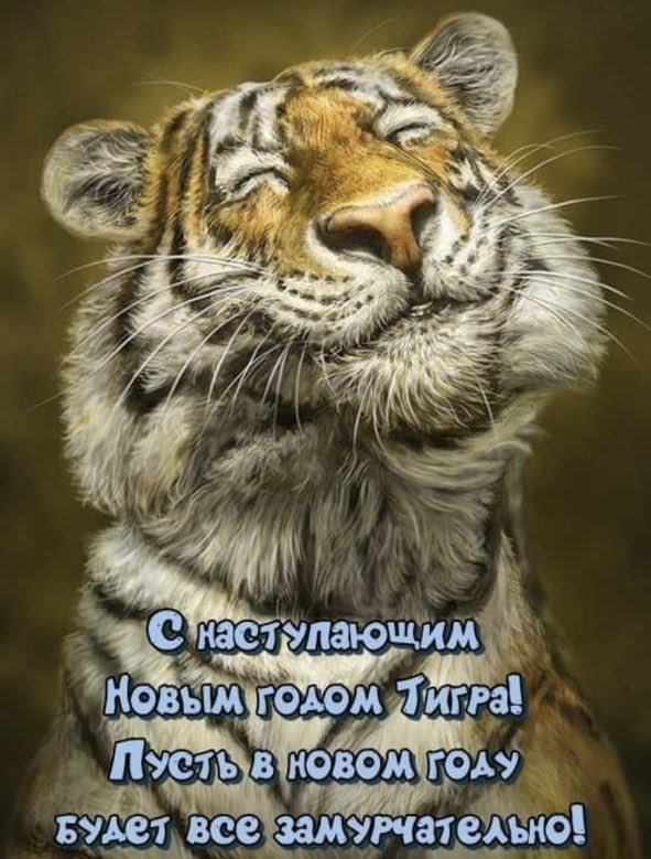 Yalta_Victoria's tweet photo. В жизни всегда должно быть место для сказки...Может чудес и вовсе не бывает, но частичка чего-то волшебного явно существует в этом МИРЕ🌍С Наступающим,Вас мои хорошие☺️🎄🍊🐅 #НовыйГод #СказочногоНастроения #Тигр2022 #СледуйЗаМной #ВолшебствоРядом #КрымЯлта 
#Вкусно_от_Виктории https://t.co/bTl4tOwjmy