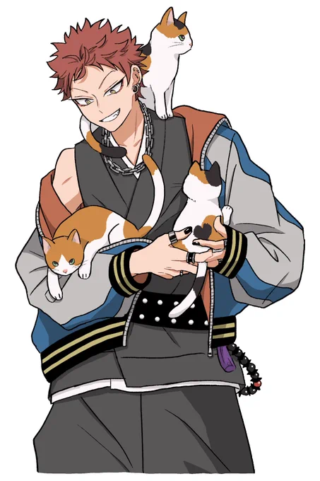 🐈🐈🐈 