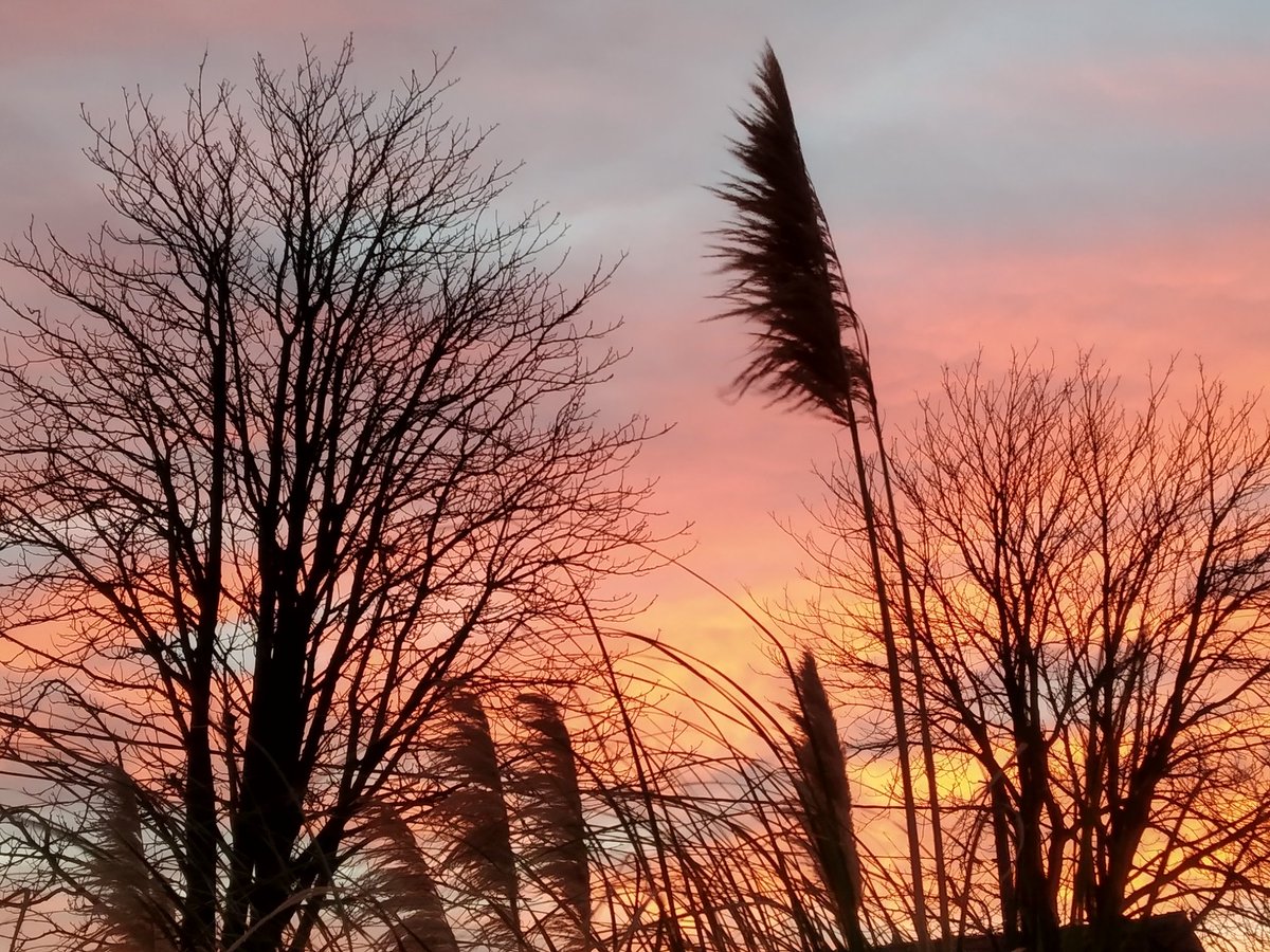 Molmento's tweet photo. Last 2021 sunrise. Bye bye weird but oh so beautiful year, welcome 2022 ♥️
#HappyNewYear https://t.co/z9iuz1ascE