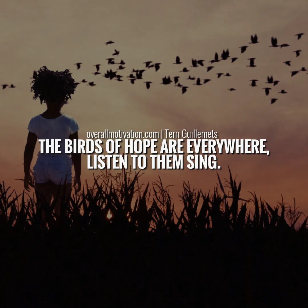 THE HOPE COLLECTIVE tweet media