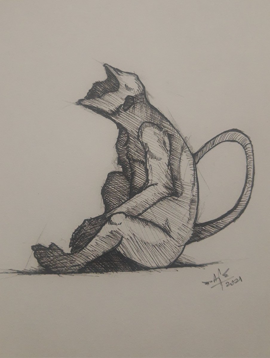 AjAeroartix2's tweet photo. Hanuman langur 
#wildlife #monkey #fieldwork #sketchbook #micronwork https://t.co/4BjhZ7LtqS