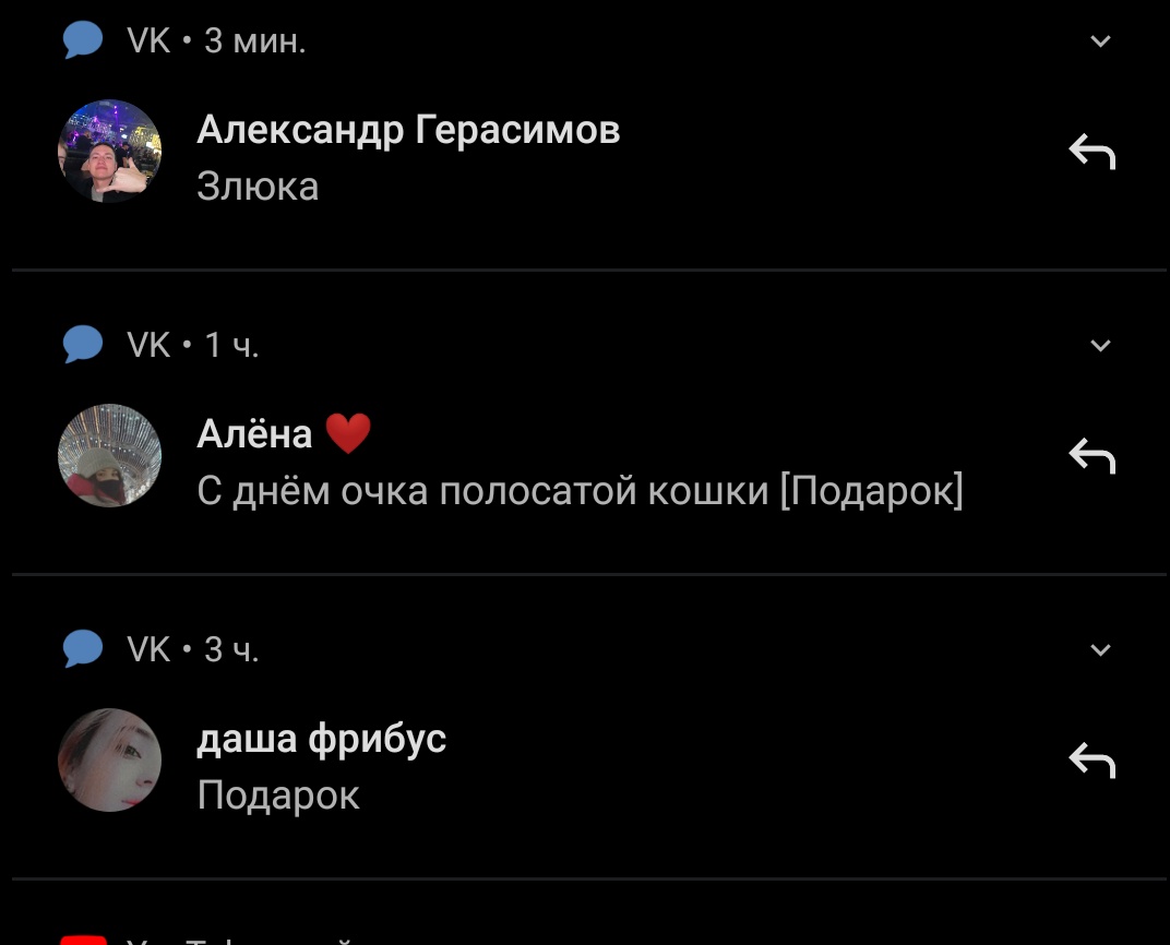 edwgrcln's tweet photo. ну с днем очка полосатой кошки. https://t.co/fC2XzypfHA