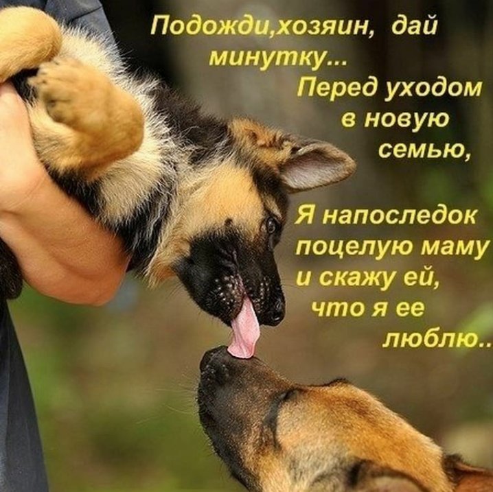 демотиваторы свежие. подождите пожалуйста фото. подождите минутку картинки. подожди минутку. подожди минутку.