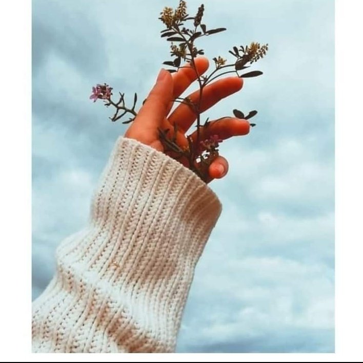 اللهم عاماً لا نؤذِي ، ولا نؤذَى 🍁🖤