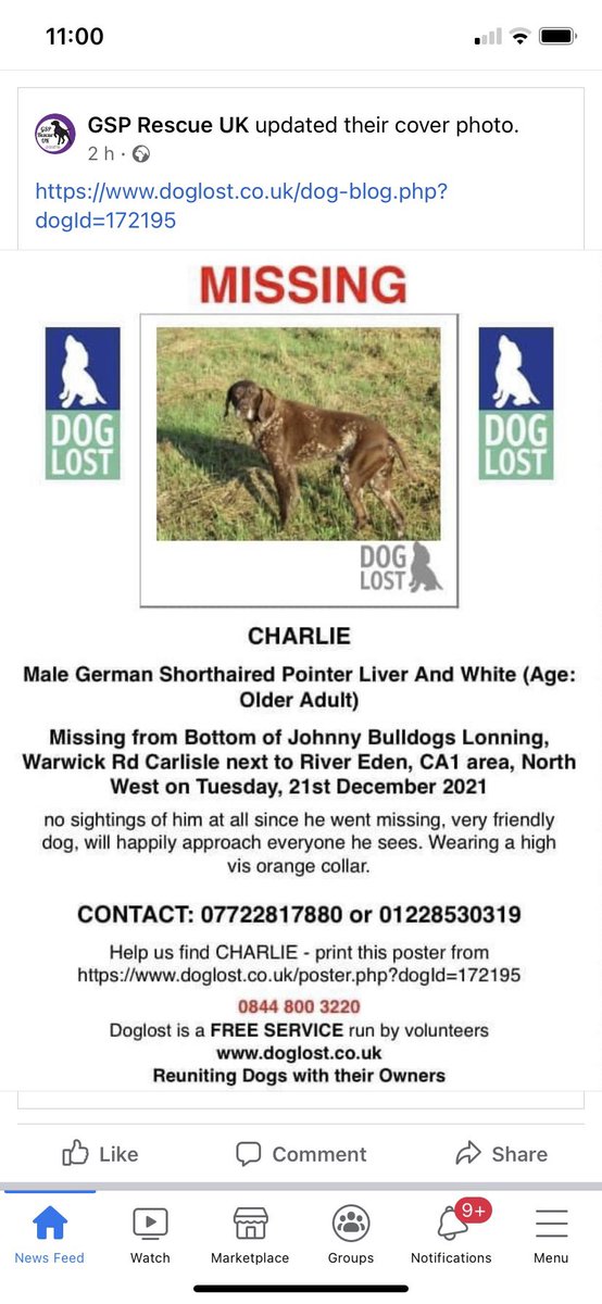 Charlie is still missing please retweet and share