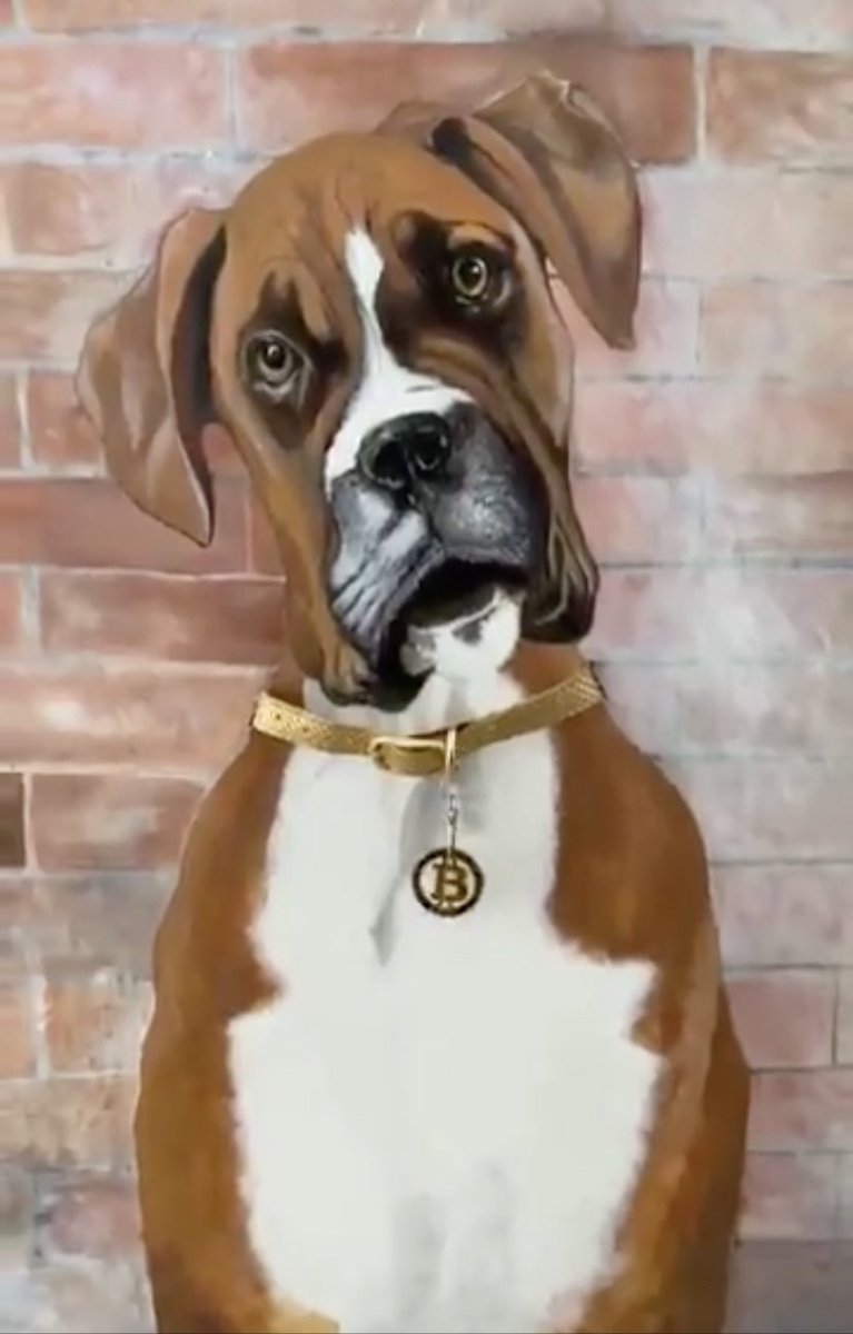 ChilliIts's tweet photo. @TheNAGACoin My painting ‘Bitcoin Boxer’ will be my first NFT on Naga NFT platform. 😉
#Bitcoin #Boxers #NFT #nftart $NGC @nagainvesting @benjamin_bilski #blockchaintechnology #NGC #NFTGiveaway #NFTCommunity #NFTdrop #NFTartist #nftcollectors #NFTCollection https://t.co/czKGkdqWq4