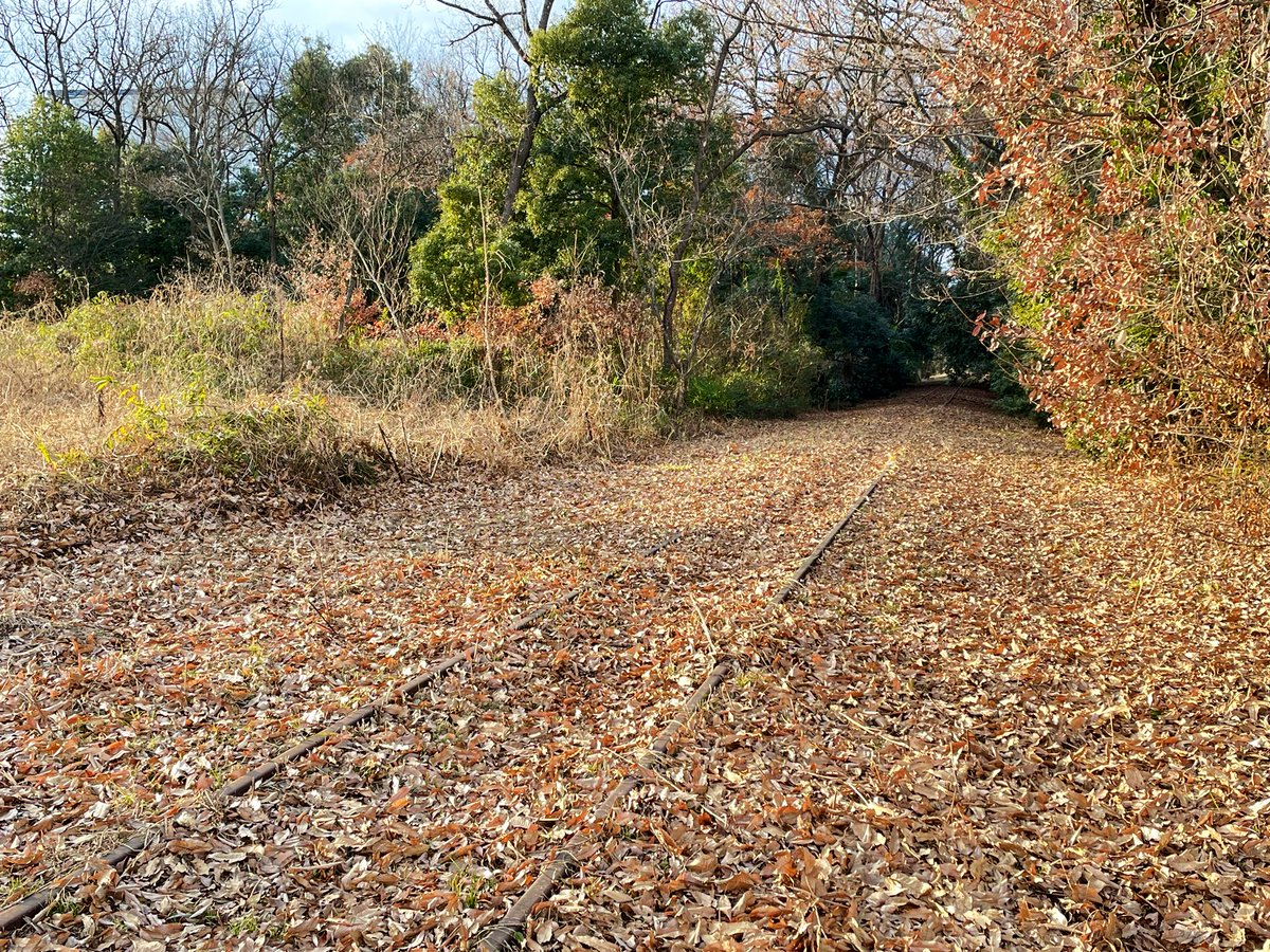 railwayline's tweet photo. 田園地帯〜雑木林トンネルまで📷
本年もご覧いただきありがとうございました。

撮影日 2021/12/31

#安比奈線 #西武安比奈線 #廃線 #廃線路
#abandonedrailwayline #closedrailwayline #discontinuedline https://t.co/Sp6jOEUF5V
