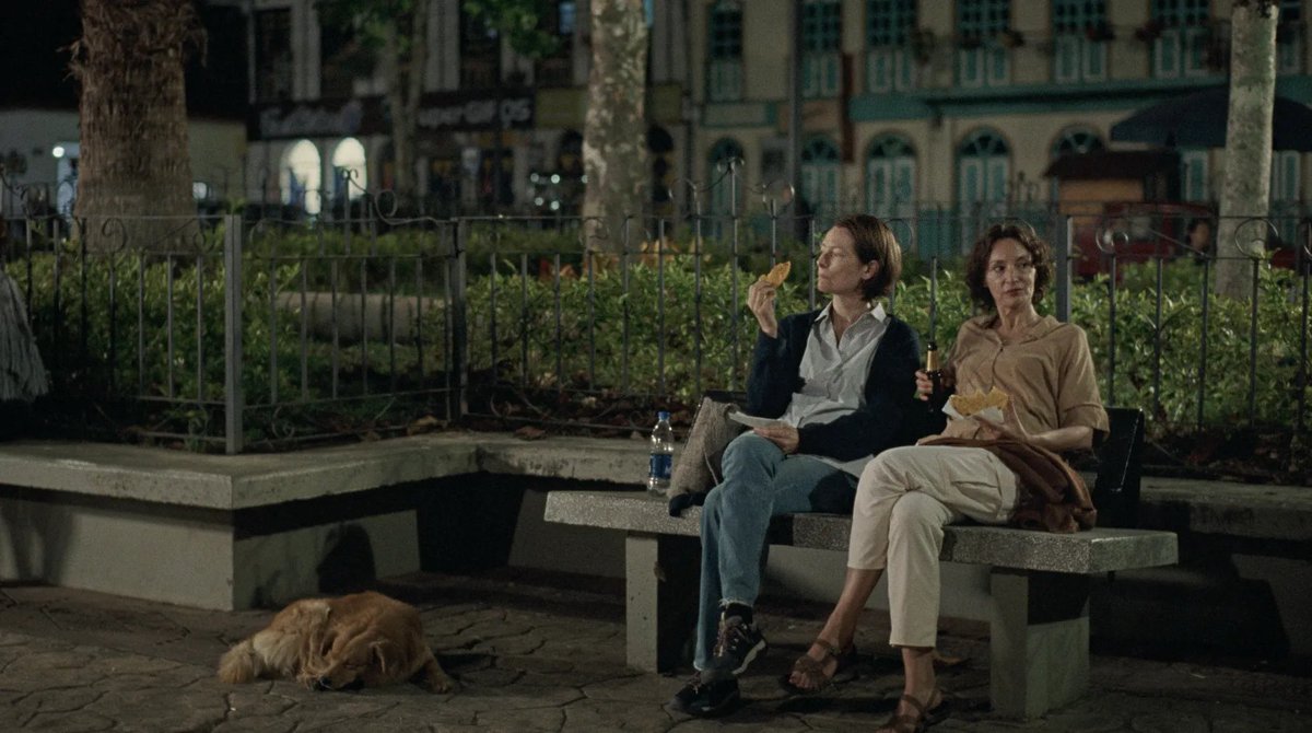 pepguhly's tweet photo. #FavoriteFirstWatches (December)

MEMORIA 🇹🇭🇨🇴 (Apichatpong Weerasethakul/2021)

The Naked Island 🇯🇵 (Kaneto Shindō/1960)

Please Speak Continuously and Describe Your Experiences as They Come to You 🇨🇦 (Brandon Cronenberg/2019)

#35mm #FavoriteFirstViewings https://t.co/qTE0qJu0jB