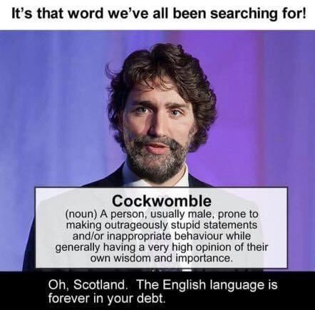 DeanAle72145537's tweet image. That word we have all been searching for.. Word to best describe our #CanadianPM .. 🤣🤣🤣Thank You Scotland!!