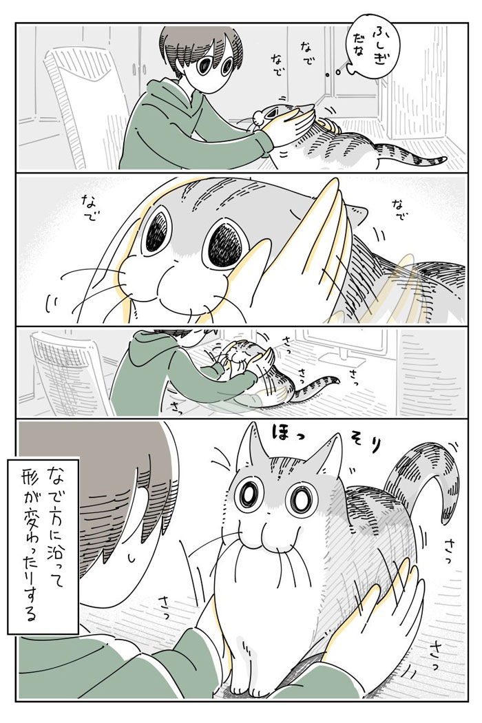 猫をなでていると? 変化に「不思議だな…」 https://t.co/kIXjy25bLu @grapeejpより 