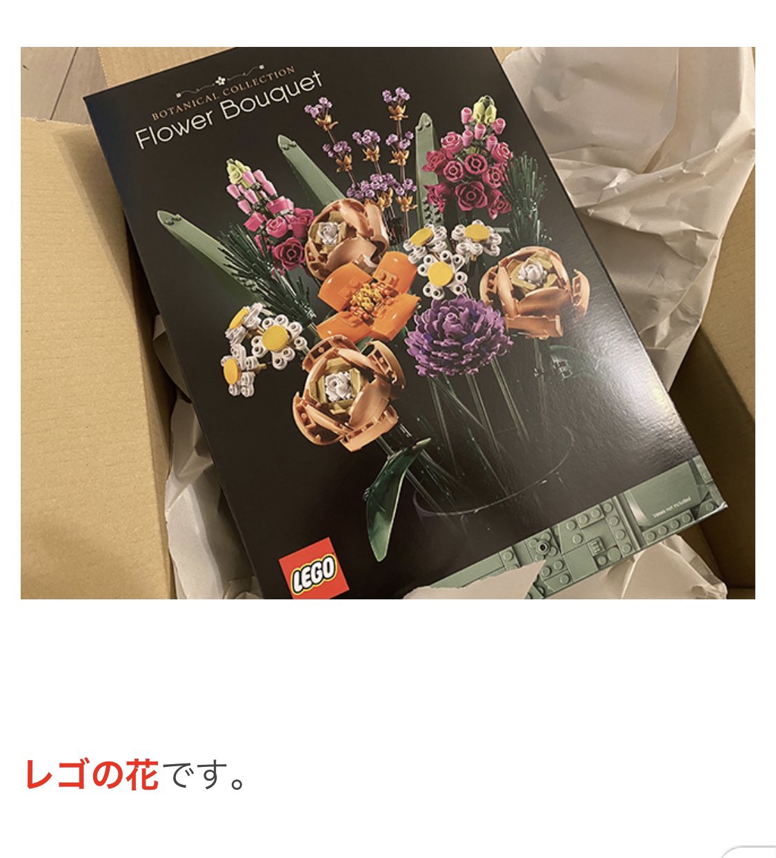 ジューンレイ オモコロブロスで記事が出たよ 編集長のかまどさんに1万円を頂いたので 以前から気になっていたレゴの花 を買いました 元花屋がまじめに組み立てるレゴの花をご覧ください かまどさんの机は仕込みなど一切なく 到着した時点であの状態