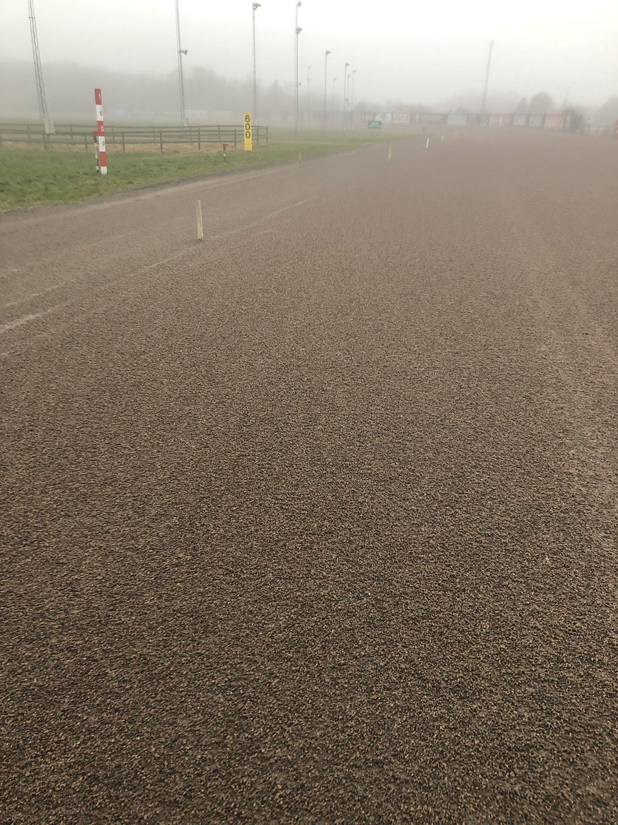 JanData94's tweet photo. Halmstadtravets oval idag klockan 10.00🐴👍 https://t.co/QLtEQvE0Jd