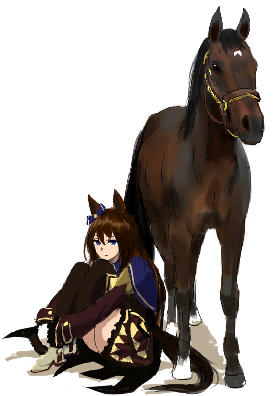 symboli rudolf (umamusume) creature and personification 1girl horse animal ears tail horse tail horse girl  illustration images