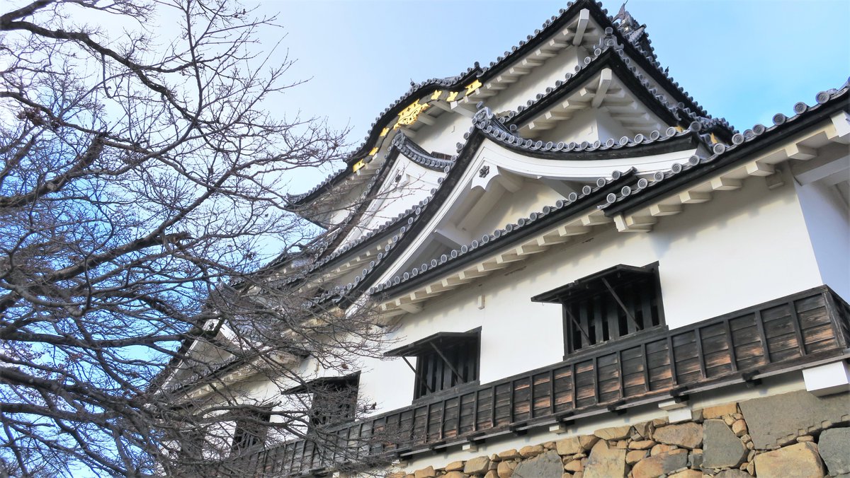 Tokyonobo's tweet photo. Hikone Castle is a Edo-period Japanese castle in the city of Hikone, Shiga Prefecture. Hikone is one of only five castles listed as a National Treasure. Please also see the video of Hikone in the snow. https://t.co/nIDXEB6EEo https://t.co/jvacxAVQin