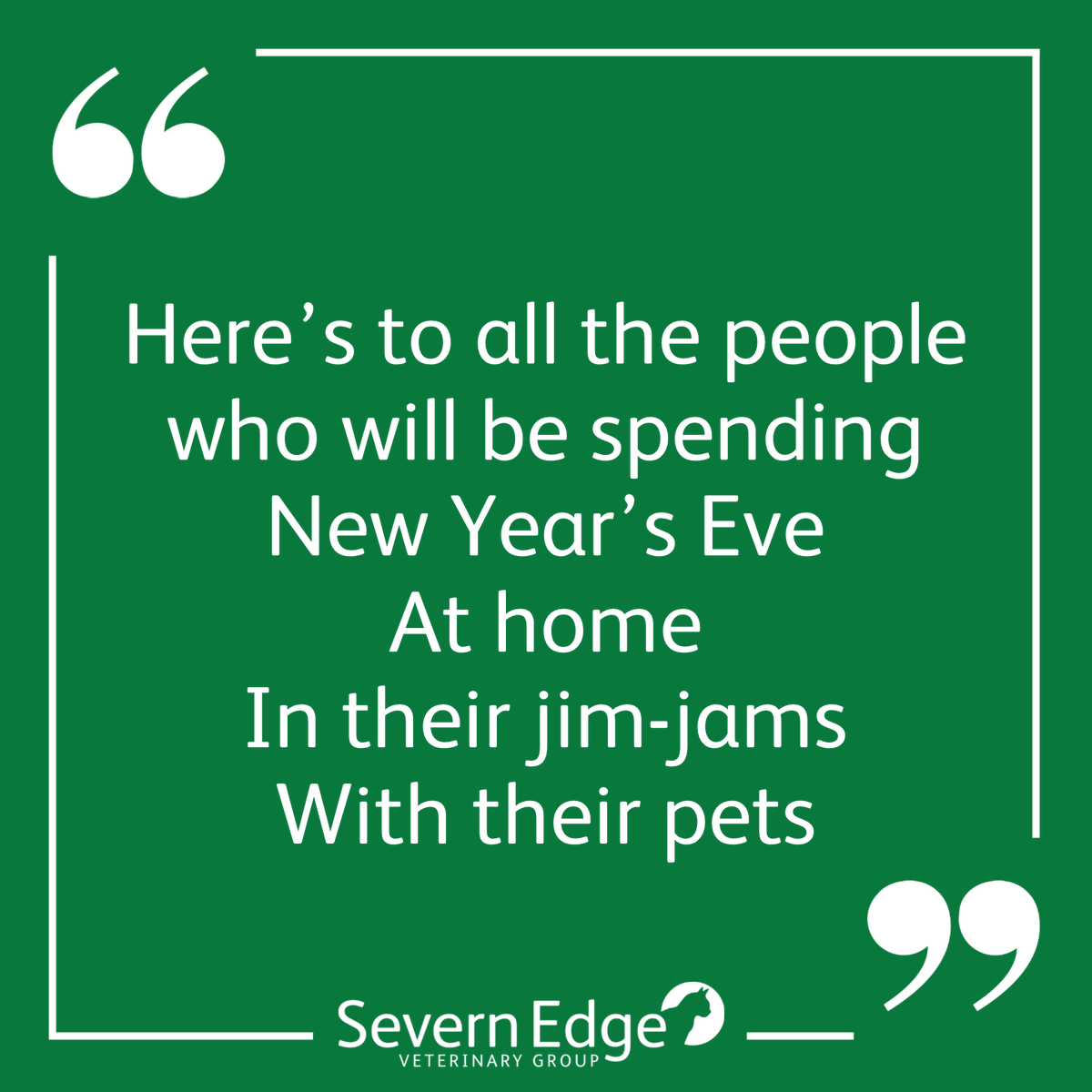 severnedgevets's tweet photo. #HappyNewYear2022 #dogsoftwitter #CatsOfTwitter #thisisCVS https://t.co/c9Pnsj8Hv0