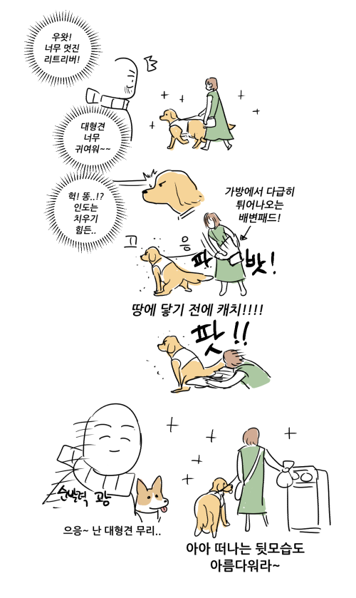 큰 개에는 큰 책임이 따른다.. 