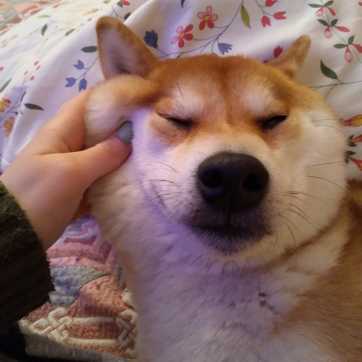 seoknwaa's tweet photo. он передает вам привет 🙄 https://t.co/s1ExO1ZQhu