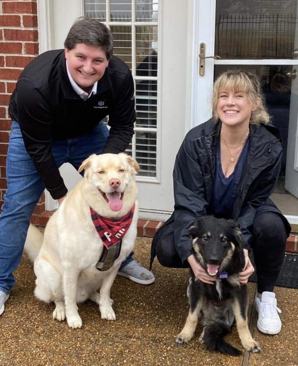 reddogsusie's tweet photo. 🔴UPDATE ON KEVIN
Happy news - sweet Kevin has been adopted & got himself a new best friend😍
Thanks to Tails of Hope Dog Rescue, his wonderful new family & everyone on twitter who helped him get his #HappyNewBeginning ❤️
#MASA9224 #Memphis https://t.co/BmjsT7HBSZ