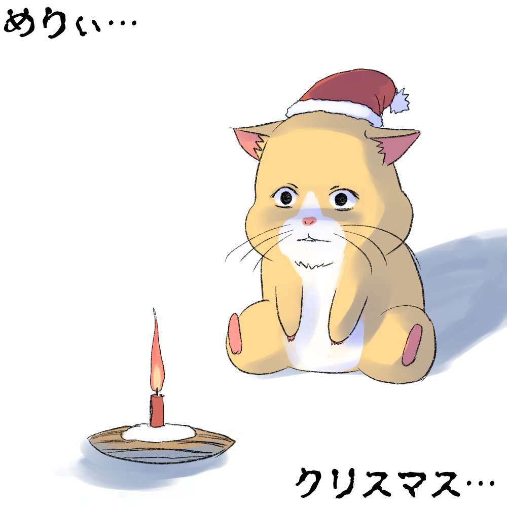 #2021年自分が選ぶ今年の4枚 今年というか今月の4枚ですが🐹 
