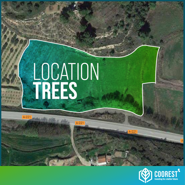 CoorestOfficial's tweet photo. 🌳What makes Coorest unique?
All tree locations are registered on the blockchain.
This is the orchard of our partner @Rooted_tw in Caspe, Spain. The CO2 the trees generate are tokenized and will be tradable on the Coorest Dapp.
#co2tokens #offsetemissions https://t.co/bghhrUj9np