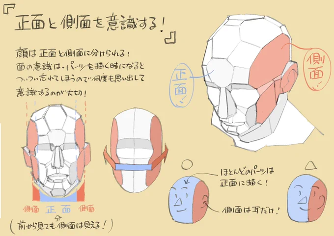 面が大事!
顔の立体感を高める4つの方法! 