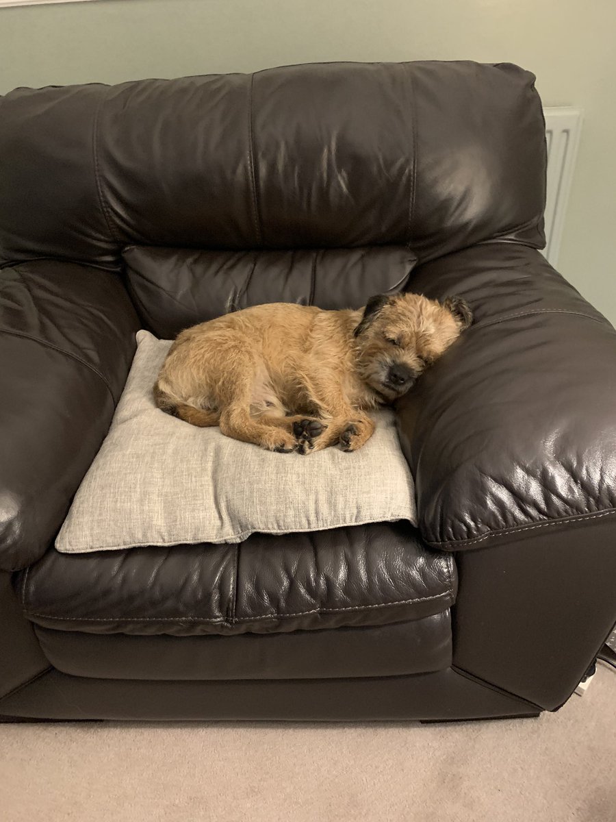 BorderDex's tweet photo. This is the result of a hol 💤 even after spending hours & hours & hours sleeping in the car #nicetobehome https://t.co/c706Ppg4iW