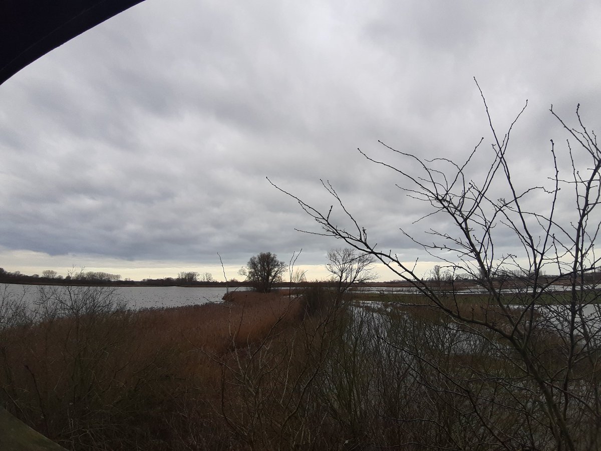 Sabine Froyman tweet media