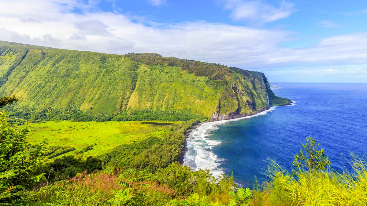 pushpenSarkar13's tweet photo. Waipio valley.
Waipiʻo Valley is a valley located in the Hamakua District of the Big Island of Hawai.
#travel #nature #adventure #beautiful #explore #photography #art #beutifulworld #love https://t.co/wkYGVLRJsB