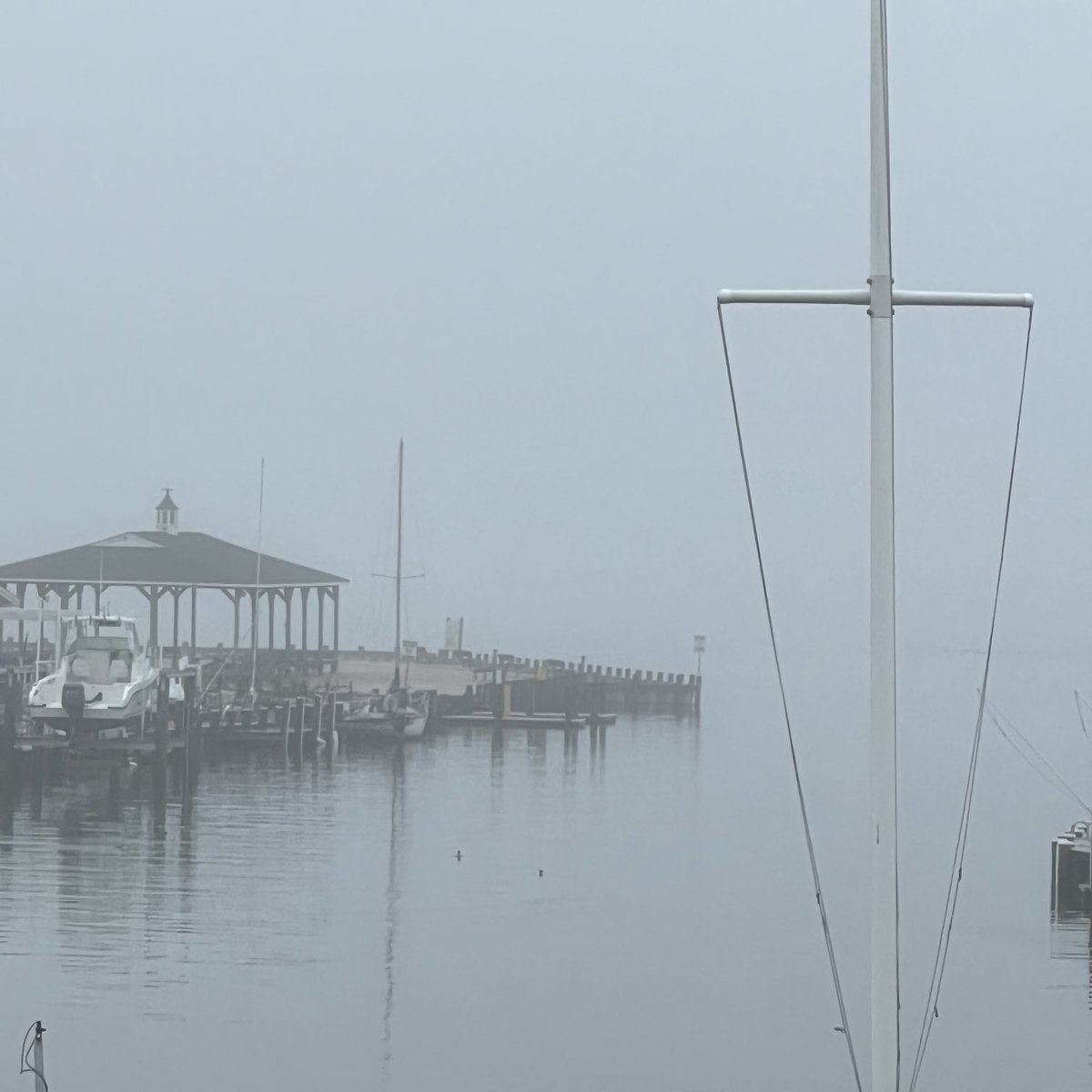Pjfriend's tweet photo. 🎶on a clear day you can see forever🎶. But not right now. 🙄 #sockedin #jerseyshore #newyearsevefog @SteveSosnaNBC @karenrogers6abc @NJWeatherGuys @LensReality @KathyOrrFOX29 @DaveCurren https://t.co/NFifvEjuvg