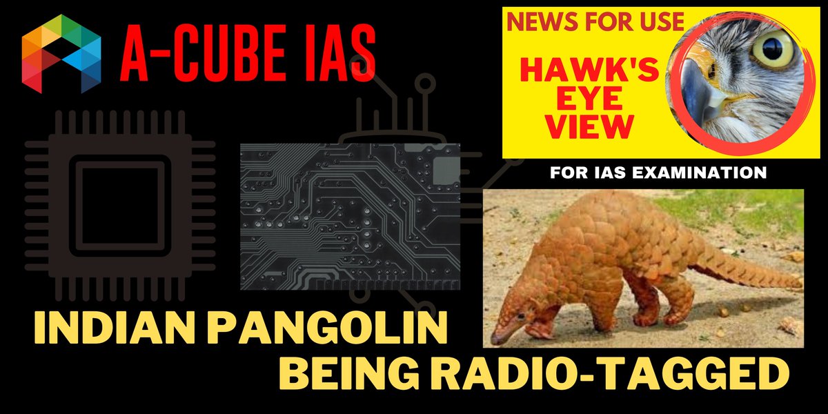 IASPASSION's tweet photo. Hawk’s Eye View
Opportune-Expedient-Updates (OEU)
Indian Pangolin Being Radio-Tagged
https://t.co/sd4GisxutT
#CurrentAffairs for #UPSC #IAS need a little more effort to explore
#pangolin #RadioTagging #WildlifeTrafficking #EndangeredSpecies #wildlife #Odisha #MadhyaPradesh https://t.co/AlEksWQNHZ