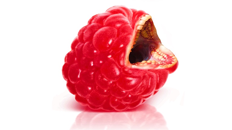 NfFrodo's tweet photo. @renowarmath Wild Wild Fruit!
Check out my pinned tweet for a Wild holiday deal.
🍓🐍🌵🍐🍇🍍🥝🍅🍆🍈🍒
https://t.co/Aj6YZ6OglH
#nftart #NFT #NFTCommunity @opensea #nftcollectors #NFTdrop #NFTs https://t.co/U8Sr3sajbA