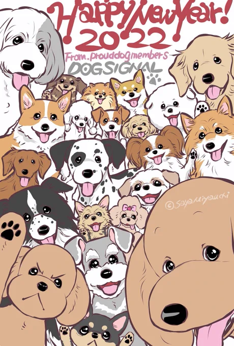 /
🎍明けましておめでとうございます🎍
\

✨2022年✨も
 #DOGSIGNAL をよろしくお願いいたします🐶🐯

#謹賀新年
#あけましておめでとうございます 
#HappyNewYear2022 