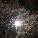 ツイートに含まれる画像