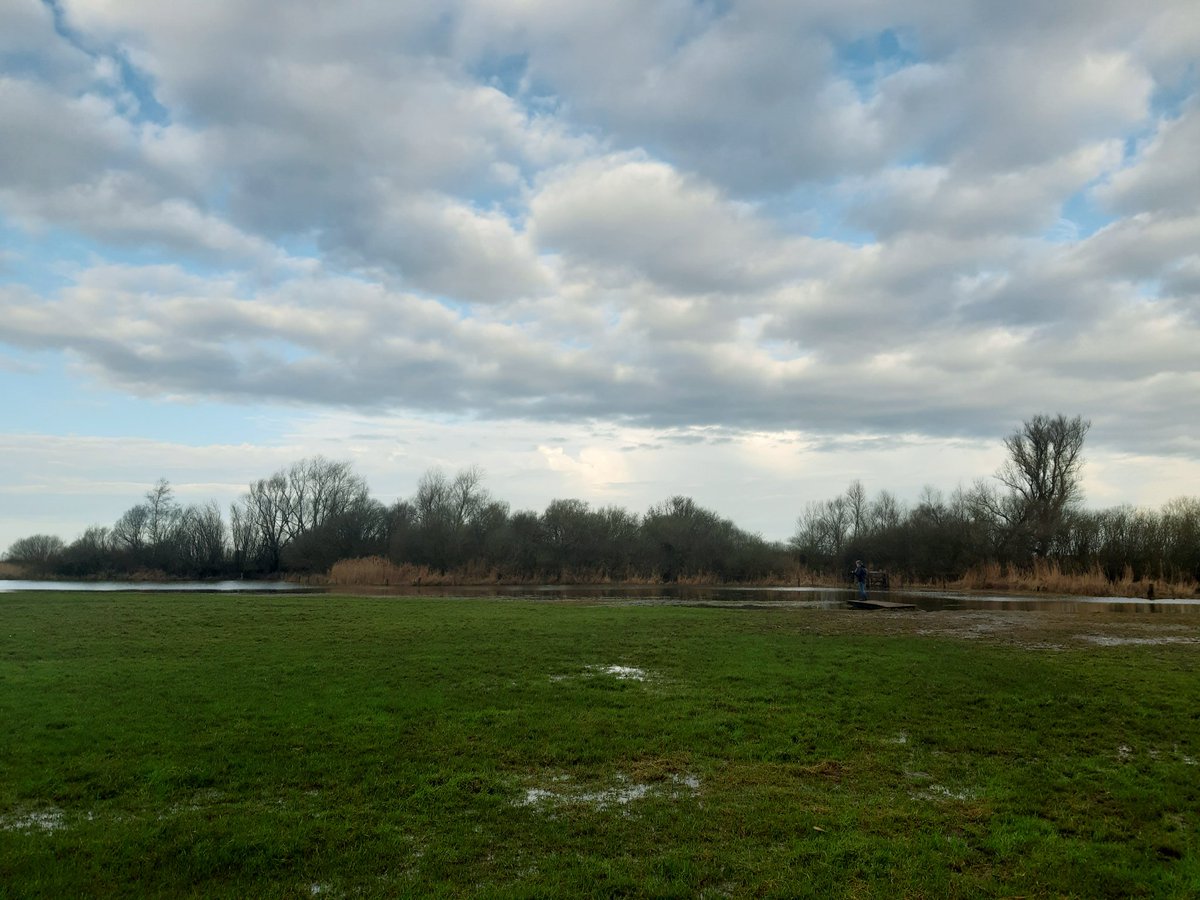 Sabine Froyman tweet media