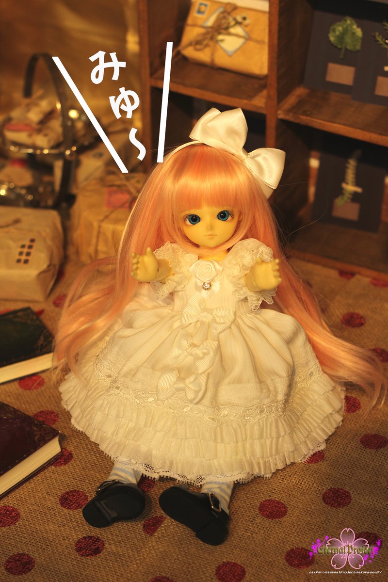 EP_SNX9210's tweet photo. #2021年自分が選ぶ今年の4枚
①何かを思いつく葉月さま
②今年お迎えしたミュリエルちゃん
③向日葵と乙春ちゃん
④#DOF14 で初のお寺会場
今年もコロナの影響はありましたが、少しずつイベントも増えて来た年でした✨
これにて本年度の投稿を終了します。
皆様、良いお年をお迎えください -橘- https://t.co/LXHKv2QCxF